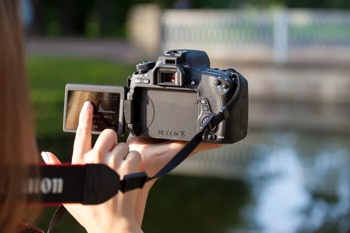 Настройка фокуса камеры. Камера не фокусируется. Камера не фокусируется samsung. Автофокус nikon кнопки. Galaxy s10 не фокусируется камера, шумы на изображении.