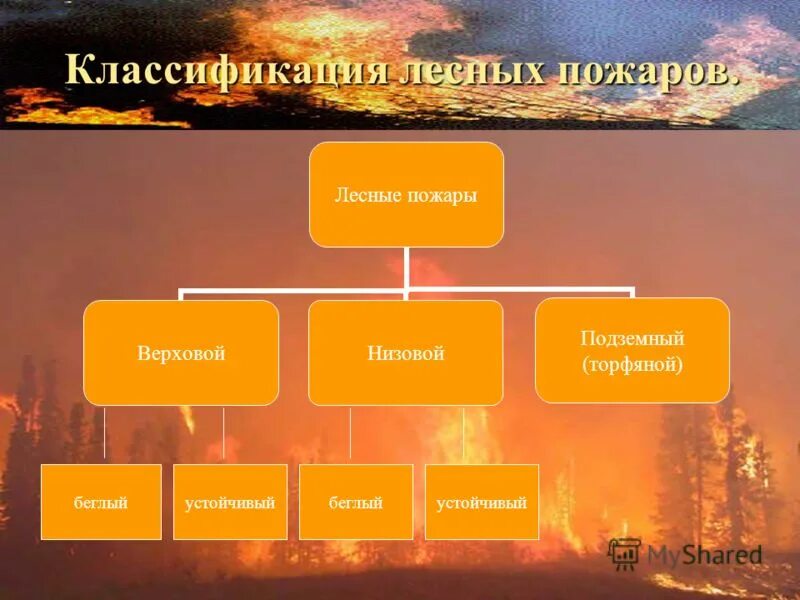 Природные пожары кратко. Классификация природных пожаров схема. Классификация природных пожаров по характеру горения схема. Классификация лесных пожаров таблица. Классификация лесных пожаров схема.