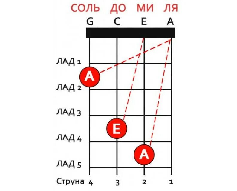 2. Струны укулеле порядок. Расположение струн на укулеле сопрано. Порядок струн на укулеле сопрано. Расположение струн на укулеле сопрано.