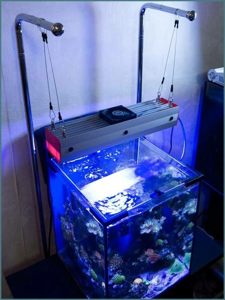 Свет для аквариума 120 литров. Прожектор 6500к для аквариума. Led aquarium led 78w. Светодиодная лента сзади аквариума. Неоновая подсветка для аквариума.