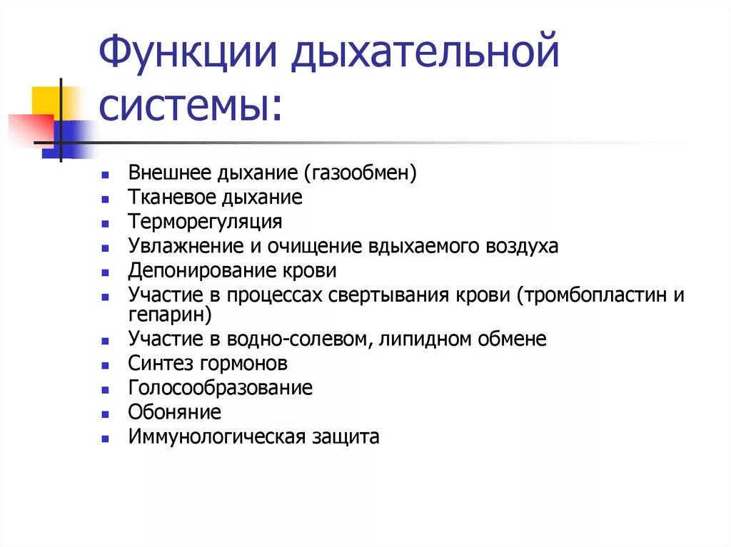 Перечислите функции системы дыхания. Назовите основную функцию дыхательной системы. Основные функции системы органов дыхания. Перечислите основные функции дыхательной системы. Вдох функции