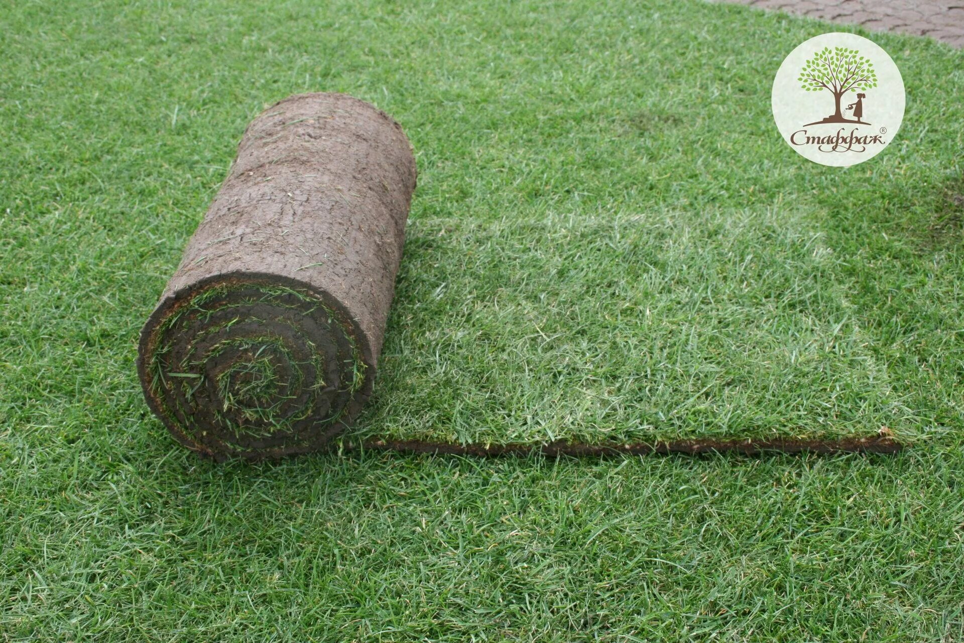 Пирог рулонного газона. Газон толщина. Схема укладки рулонного газона. Вес рулонного газона 200х80. Рулонный газон размеры.