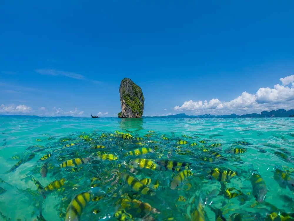 Чистое море в тайланде. Таиланд, пхукет, андаманское море. андаманское море рифы. остров пода краби. коралловое море..