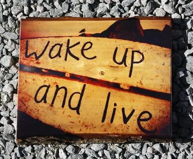 Wake up 17