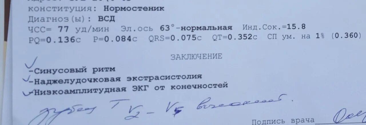 Норма экг у взрослых заключение. Нормальное заключение экг. экг заключение норма. заключение экг в норме пример. заключение экг при номре.