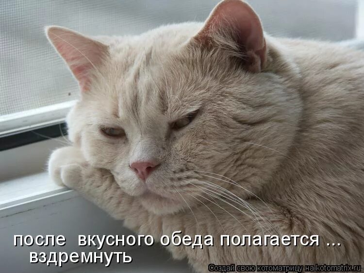 После плотного обеда покурить