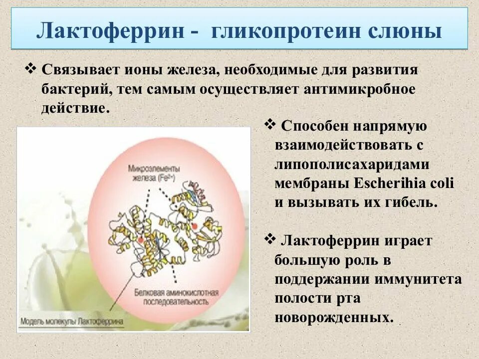 Оценка это определение. Подготовка управленческого решения. Функции вегетативной нервной системы схема. Постиндустриальное общество. Семья это основанная на.