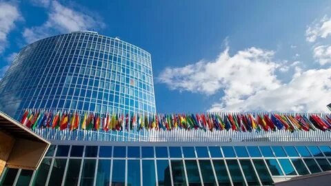 Всемирная организация интеллектуальной