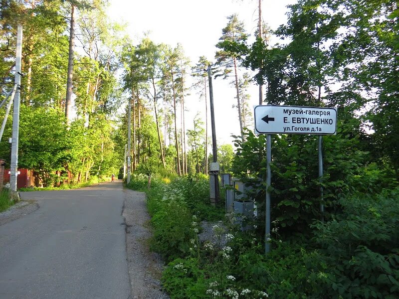 Писательский городок. Переделкино писательский поселок. Поселок писателей Переделкино. Писательский городок в Переделкино. Резиденция писателей Переделкино.