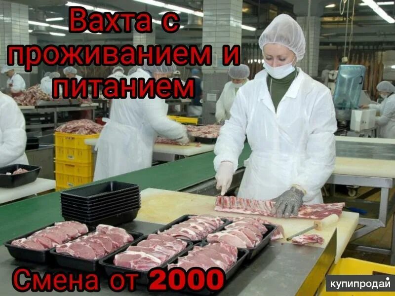 Работа для семейных пар вахтой в москве. Упаковщик с питанием и проживанием. Упаковщица вахта. Работа вахтой 15/15 упаковщики. Упаковщица +питание +проживание.