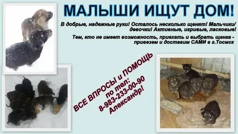 Ребенок ищет дом