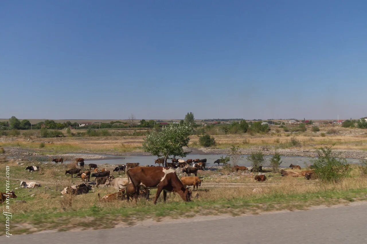 Село исламей. Село Исламей Баксанский район. Животный мир Баксанского района. Исламей село горы. Поверхность в селе Исламей Баксанский район.