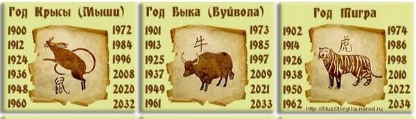 23 год год крысы