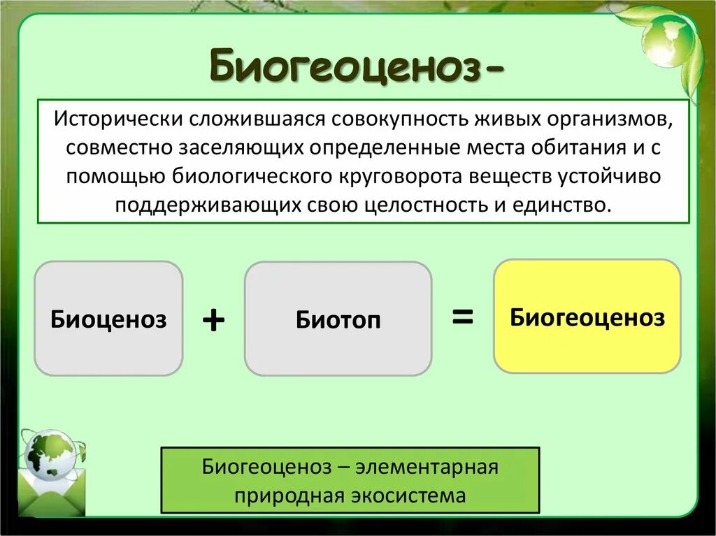 Экосистема и биогеоценоз. Биоценоз и биогеоценоз отличия. Отличие биоценоза от геоценоза. Отличие биоценоза от экосистемы. Сходство и различие биогеоценоза