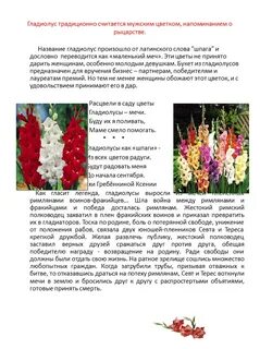 Гладиолусы текст