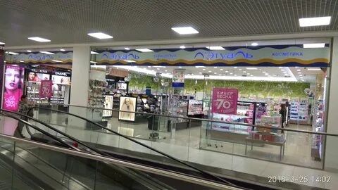 Внииссок кленовая 1