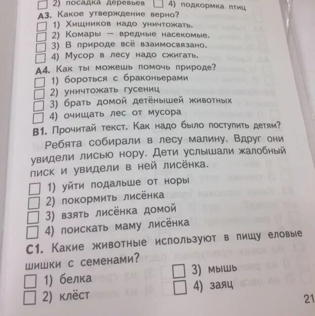 Какое утверждение верно география. Ребята собирали в лесу малину вдруг они увидели лисью нору ответ. Ребята собирали в лесу малину вдруг. Ребята собирали в лесу малину вдруг они увидели нору.