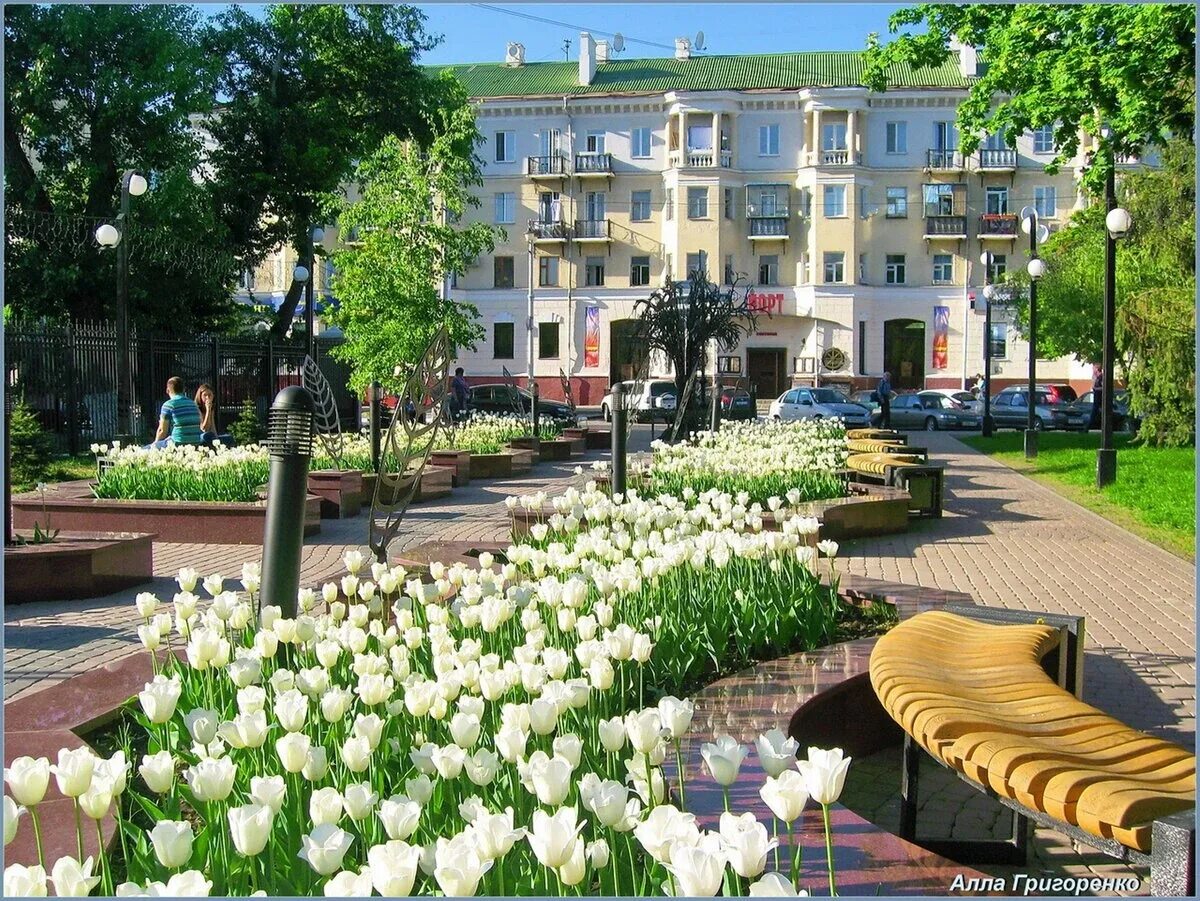 Лучшие в белгороде. Белгород прекрасный город. Белгород Белоруссия. Белгород фотографии центра города. Белгород летом.
