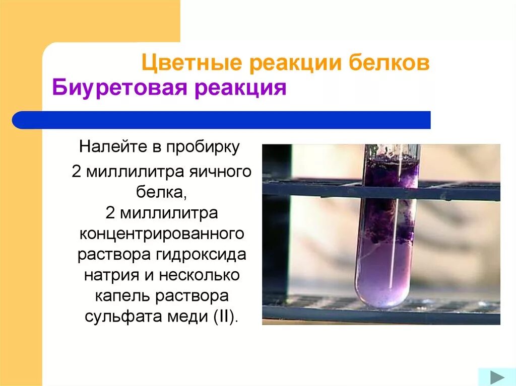 Белки вода реакция. Реакция белка с сульфатом меди 2. Раствор белка сульфат меди 2 реакция. Реакция белка с гидроксидом меди 2 щелочи. Биуретовая реакция с яичным белком.