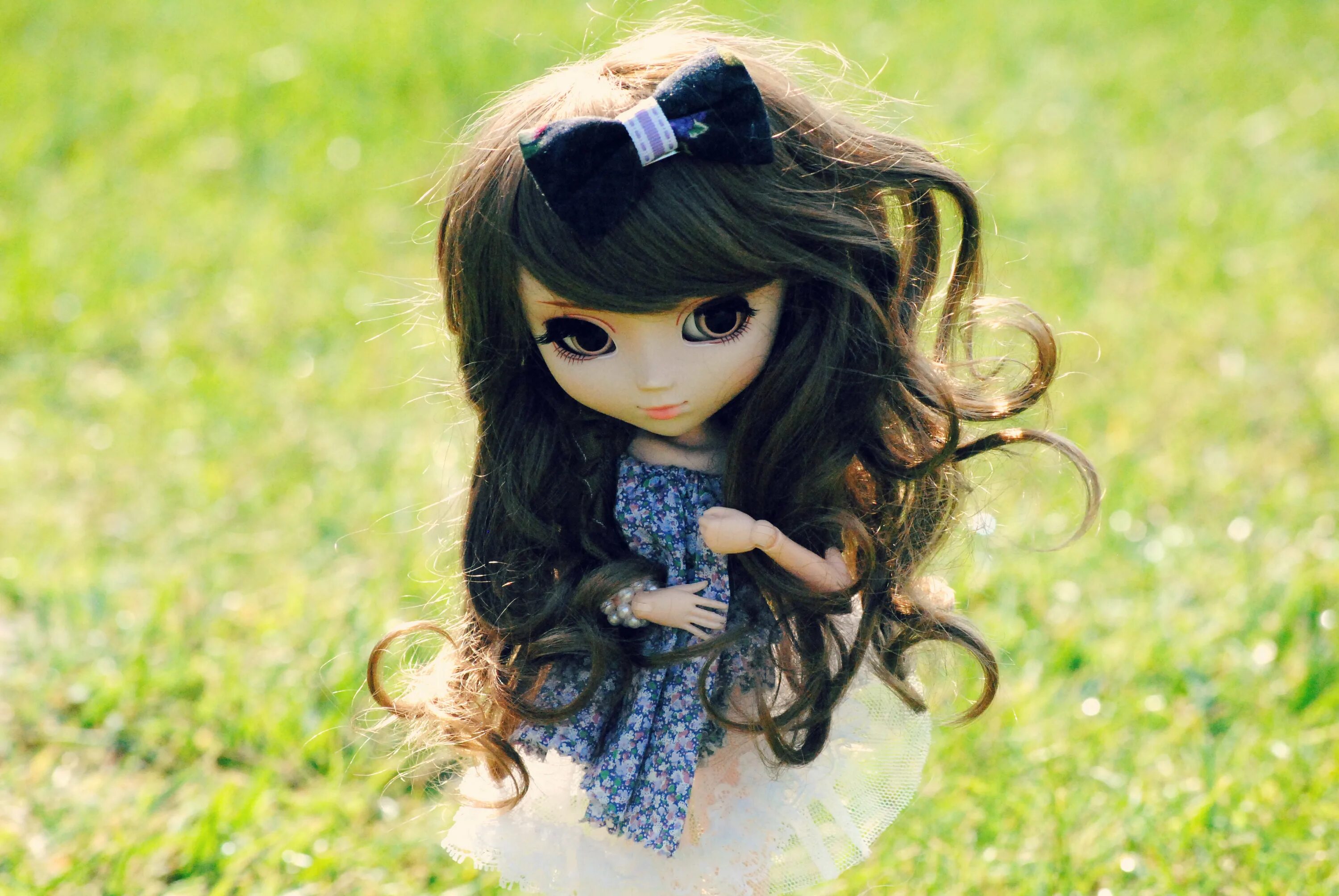 Куклы Пуллип. Pullip Shinku. Глаза для кукол Пуллип. Куклы красивые волосы