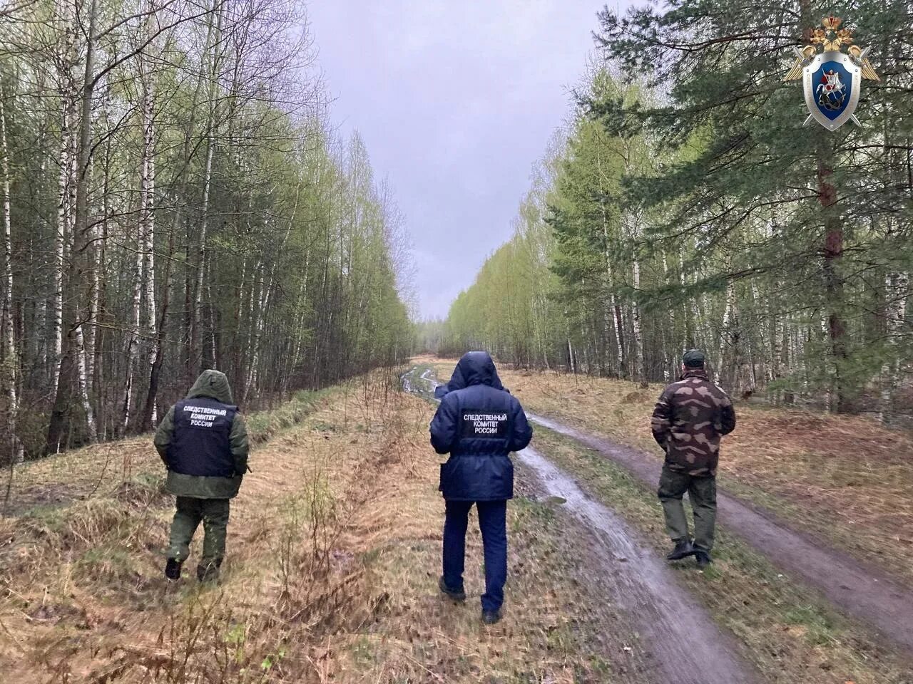 Мальчик потерялся в лесу. Мальчик потерялся в лесу. Поиски мальчика в лесу. Группа детей заблудилась в лесу. Волонтеры ищут ребенка в лесу фото.