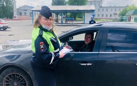 Гаи брянск