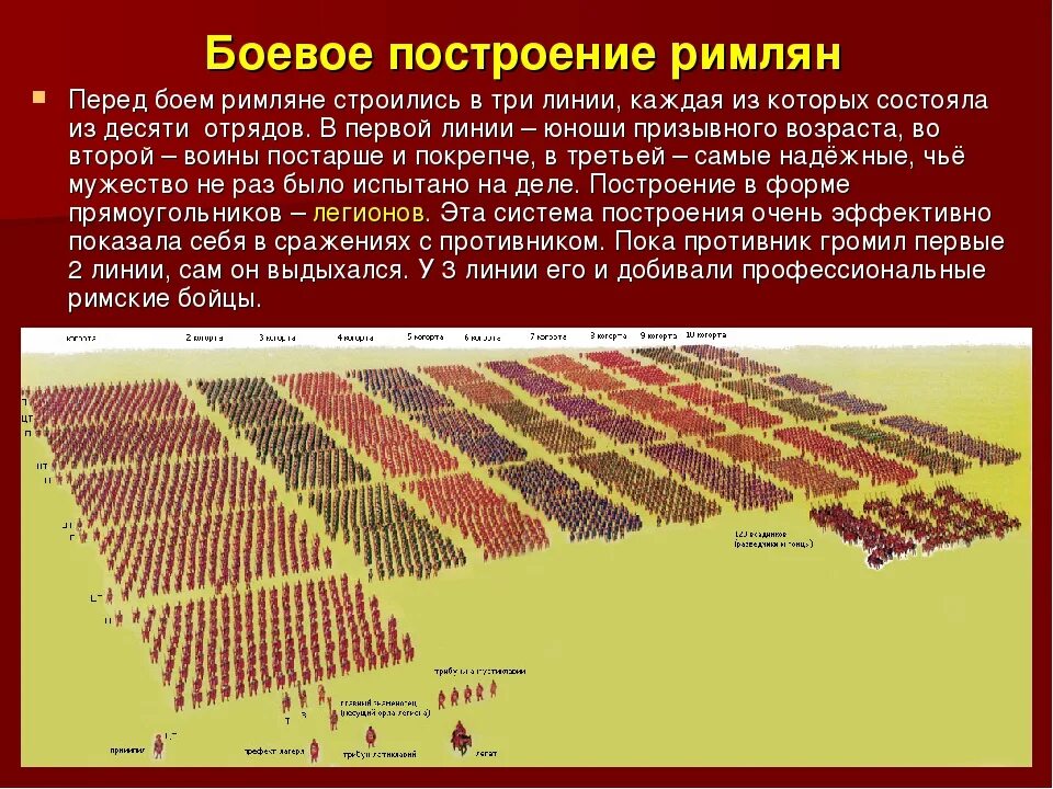 Состав когорты римской армии. Структура легиона римской армии Империя. Римский Легион Центурия. Схема построения Римского легиона.