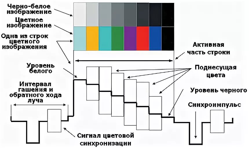 Цветовой сигнал