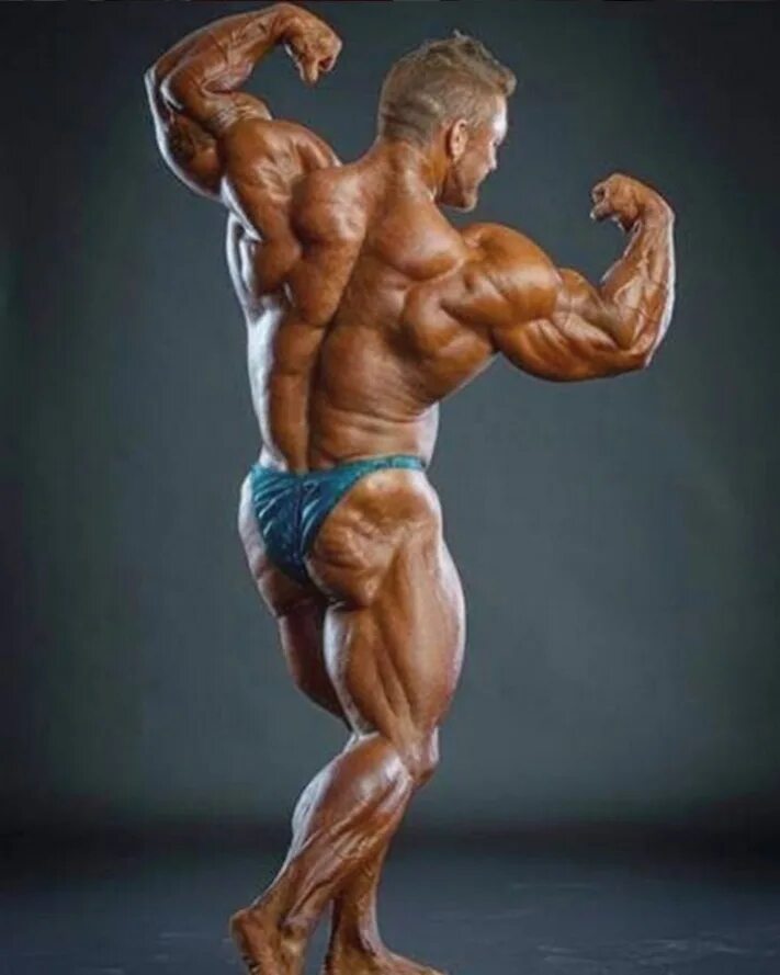 Флекс льюис мистер олимпия. Флекс льюис олимпия. Флекс льюис. Флекс льюис бодибилдинг. Флекс льюис бодибилдер.