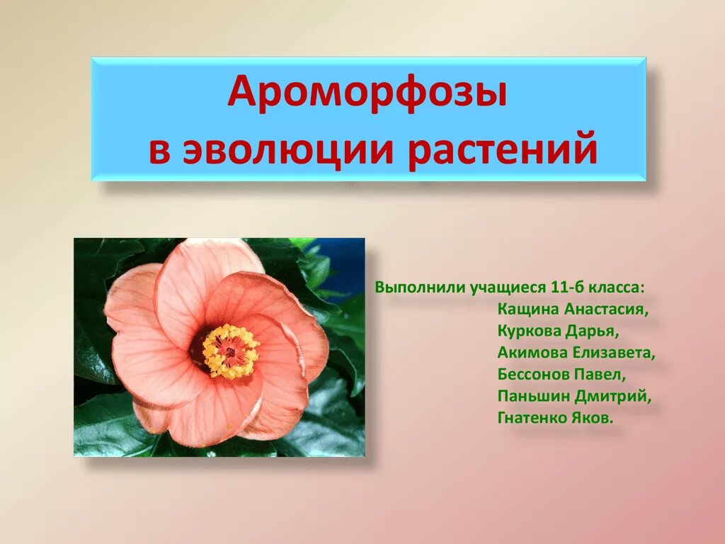 Ароморфозы растений. Примеры ароморфоза у растений. Ароморфозы цветка. Ароморфозы покрытосеменных.