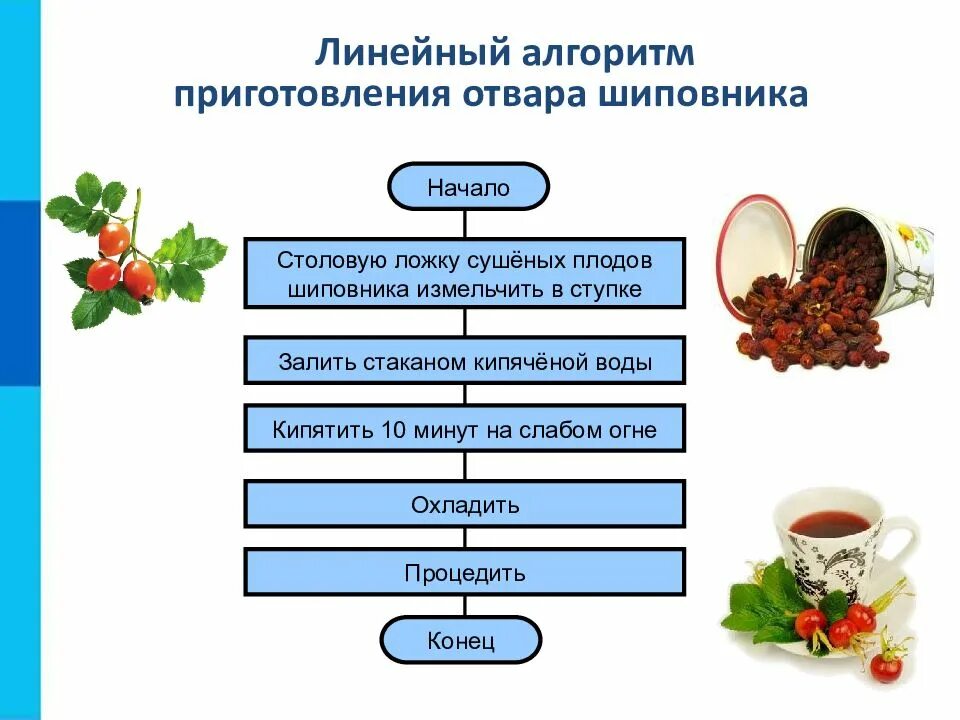 Алгоритм рецепта. Алгоритм приготовления отвара шиповника. линейный алгоритм приготовления отвара шиповника. линейный алгоритм приготовления. схема приготовления чая.