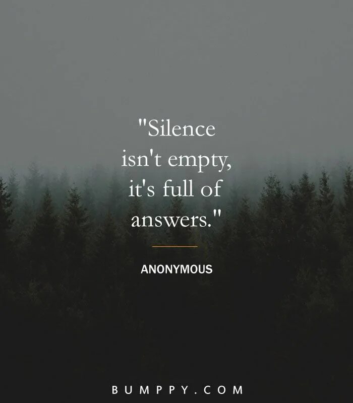 Why is it empty. Silence is an answer. the silence is your answer. silence is not empty is full of answers. pful say silence.