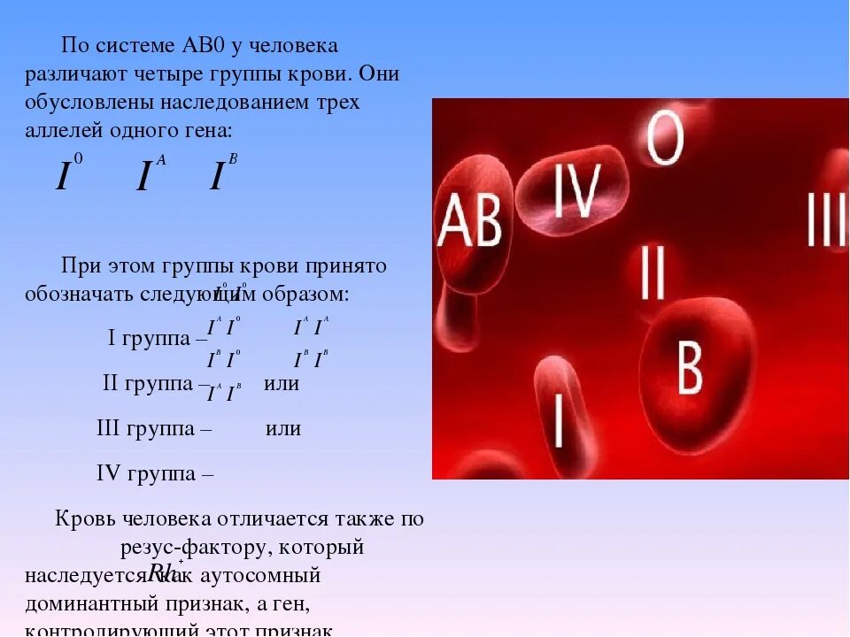 Система ав0 группы крови. Группы крови ав0 таблица. Группы крови по системе ав0 таблица. Характеристика групп крови системы ав0. Основные системы групп крови