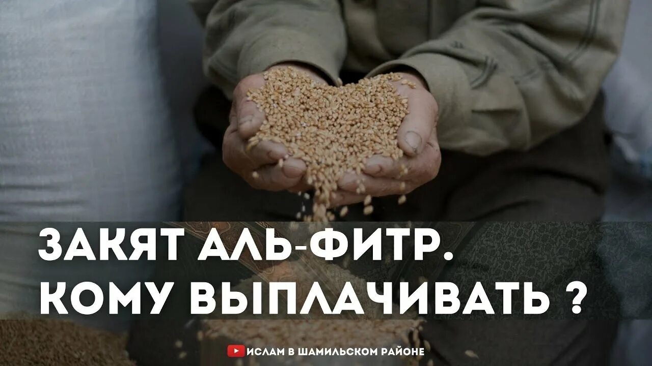 Ураза закят. Закят Аль Фитр. Закят Аль Фитр продуктами. Кому выплачивать закят Аль фито. Намерение на закят.