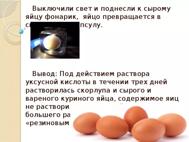 Можно собаке давать яйцо вареное. Факты о яйцах. Интересные факты о яйцах. Интересные факты о яйцах куриных. Интересный факт о цвете скорлупы куриного яйца.