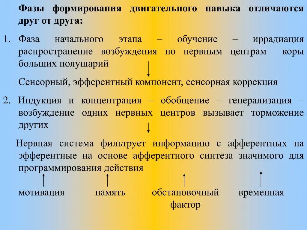 Стадии формирования двигательного навыка. Фазы формирования двигательного навыка. Фазы образования двигательного навыка. Этапы формирования двигательных умений и навыков. Какие же этапы становления проходит новый человек