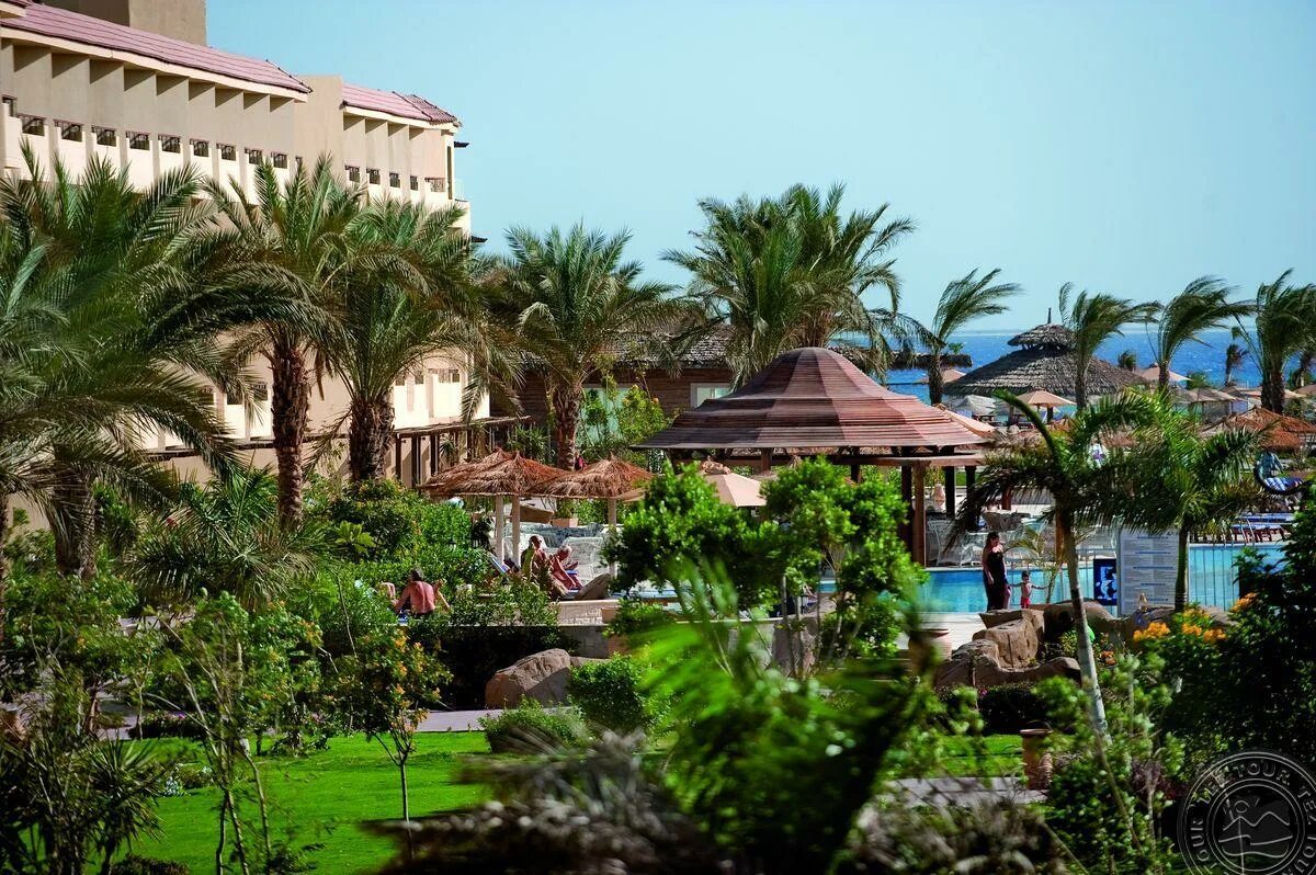 Albatros beach club abu soma (ex. Рыбный ресторан дахаб. Albatros amwaj) 5* египет, хургада. Pickalbatros blue water) 4* сома бэй. Blue beach club.