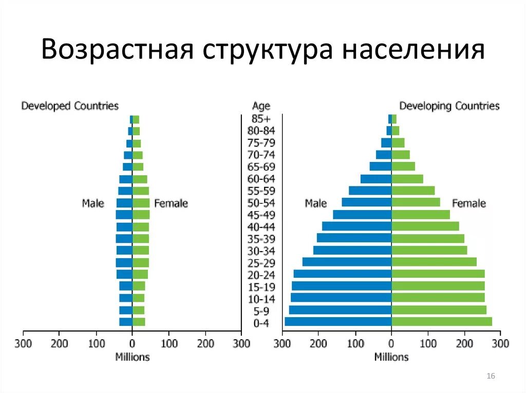 Половозрастная структура популяции. Возрастная структура Уругвай пирамида. Возрастная пирамида популяции. Возрастная структура населения.