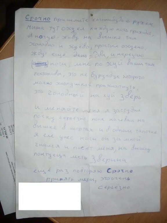 Записка сторожа. Записка сторожа. Объяснительная сторожа с буровой про медведя. Записка сторожа. Смешные объяснительные записки студентов.