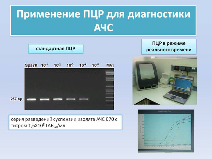 Стандартная диагностика. ПЦР В реальном времени. Мультиплексная ПЦР В режиме реального времени. ПЦР В реальном времени картинки. Внутренний контроль ПЦР.