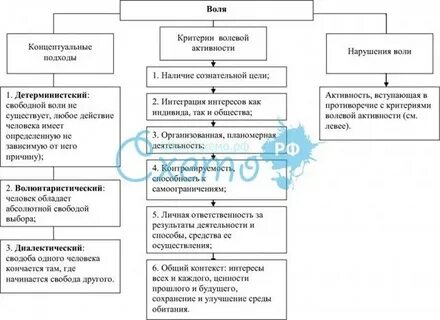 Воля это сознательное регулирование человеком