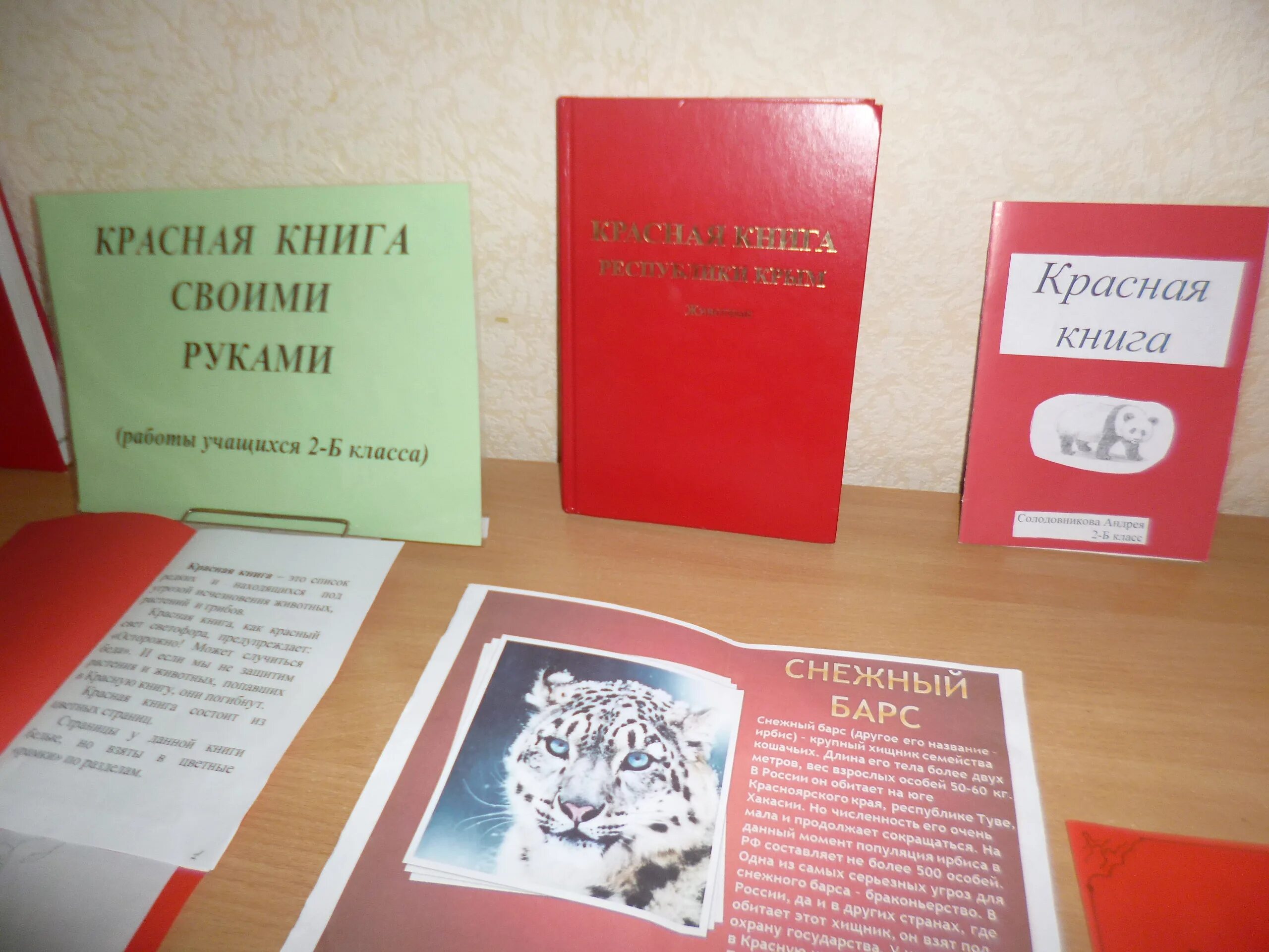 Книжка малышка красная книга 2 класс. Красная книга своими руками. красная книга своими руками 2 класс. выставка красная книга. красная книжка своими руками.