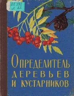 Определитель деревьев