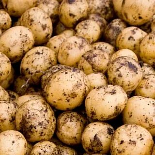 Мелкий картофель