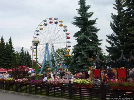 Диво остров отзывы