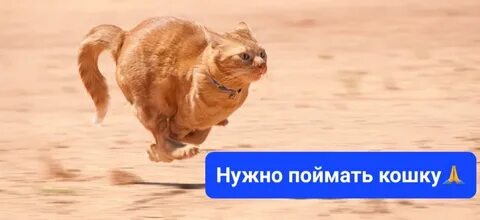 Лови помощи