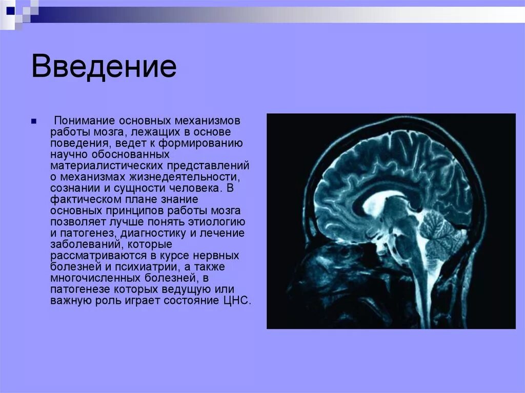 Механизмы головного мозга. Деятельность головного мозга. Сон процесс. Механизмы активности мозга. Механизмы активности мозга.