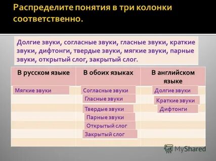 Распредели термины