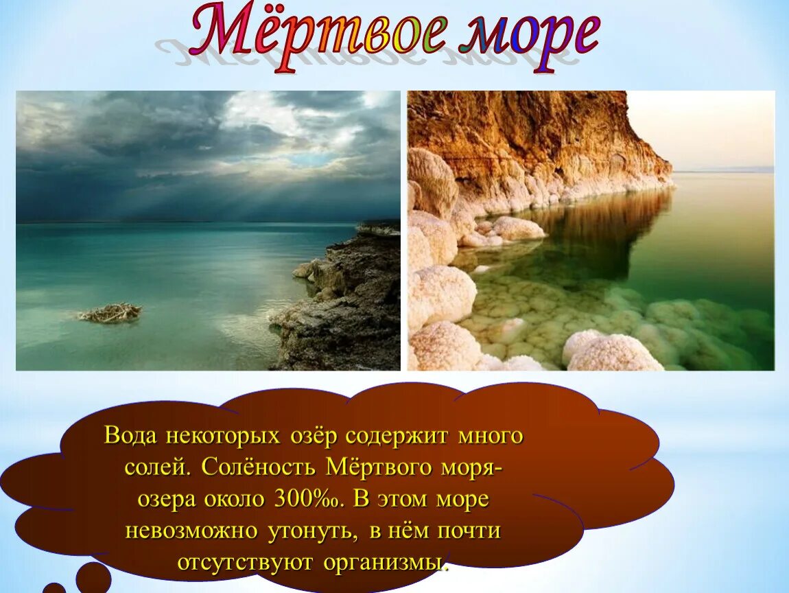 Почему некоторые озера. Мертвое море озеро. Соленость мертвого моря. В Мертвом море нельзя утонуть. Плотность мертвого моря.