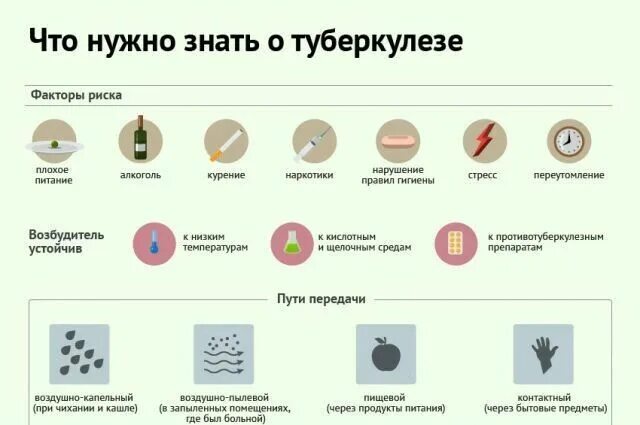 Если съесть собаку не заболеть туберкулезом. Факторы способствующие развитию туберкулезной инфекции. Факторы риска способствующие возникновению туберкулеза. Факторы риска развития туберкулеза. Основные факторы развития туберкулеза.